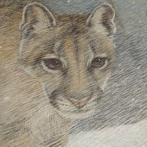 Young Cougar By Harold Rigsby 91/975 Signed